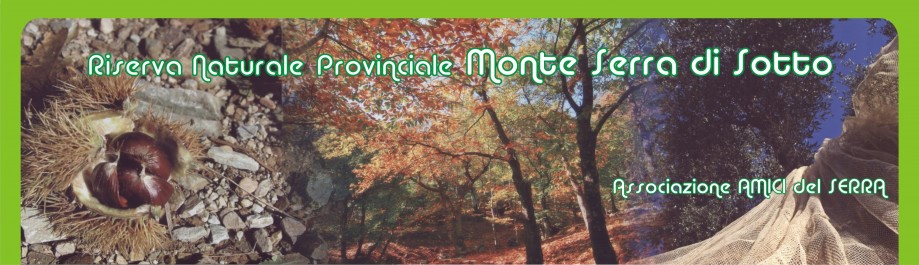 Riserva Naturale Monte Serra di Sotto